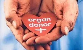 The Gift Of Life Through A Culture Of Organ Donation