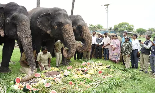Nehru Zoo Celebrates World Elephant Day