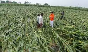 Tank Breaches Spark Fears Of Crop Damage