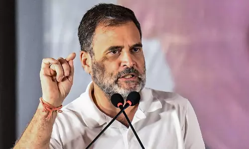 Dog Lovers Hark At SC Orders