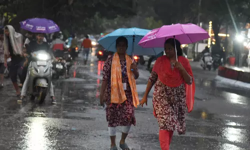 Telangana Puts Irrigation Dept on Alert as Rains Loom