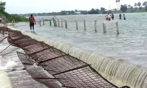 Heavy Rains Revive Warangal Farmers’ Kharif Hopes