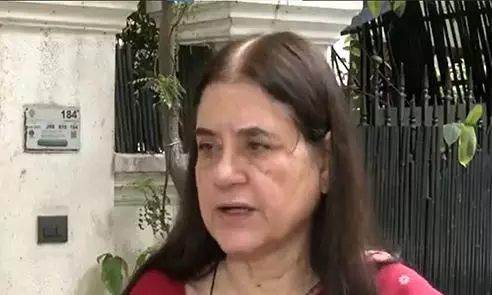 Maneka Gandhi Urges Humane Review of SC Order on Stray Dogs Maneka Gandhi Urges Humane Review of SC Order on Stray Dogs