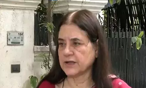 Maneka Gandhi Urges Humane Review of SC Order on Stray Dogs