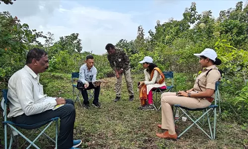 Officials Step Up Hunt For Missing Tiger S12