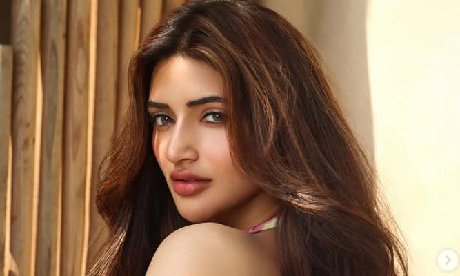 Sreeleela's Bollywood Debut to Clash With Alia Bhatt's Film
