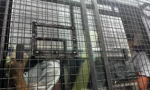 Bannerghatta Safari Vehicles Fitted With Mesh