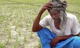 Govt Abandoned Farmers In Darkest Hour: YRSC