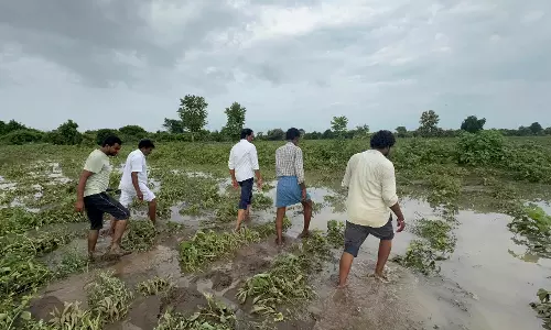 Political Parties Help Flood Victims