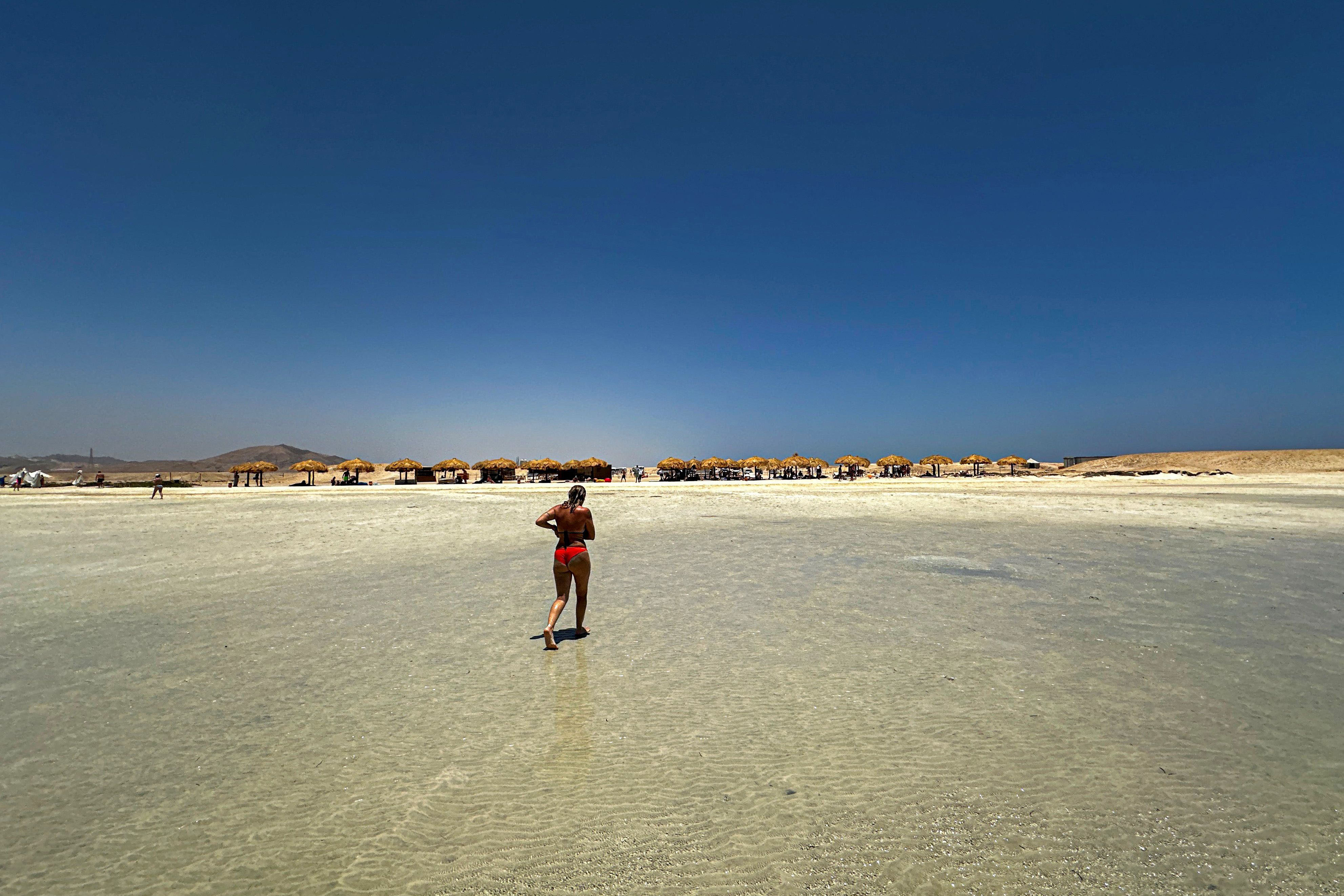 Tourism Deal Puts Egypt's Last Wild Shores at Risk