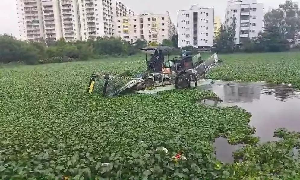 Kudikunta Lake Revived After 8 Years Of Effort