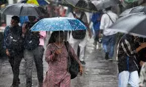 Heavy Rainfall In Kurnool And Nandyal