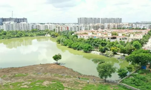 Kudikunta Lake Revived After 8 Years Of Effort