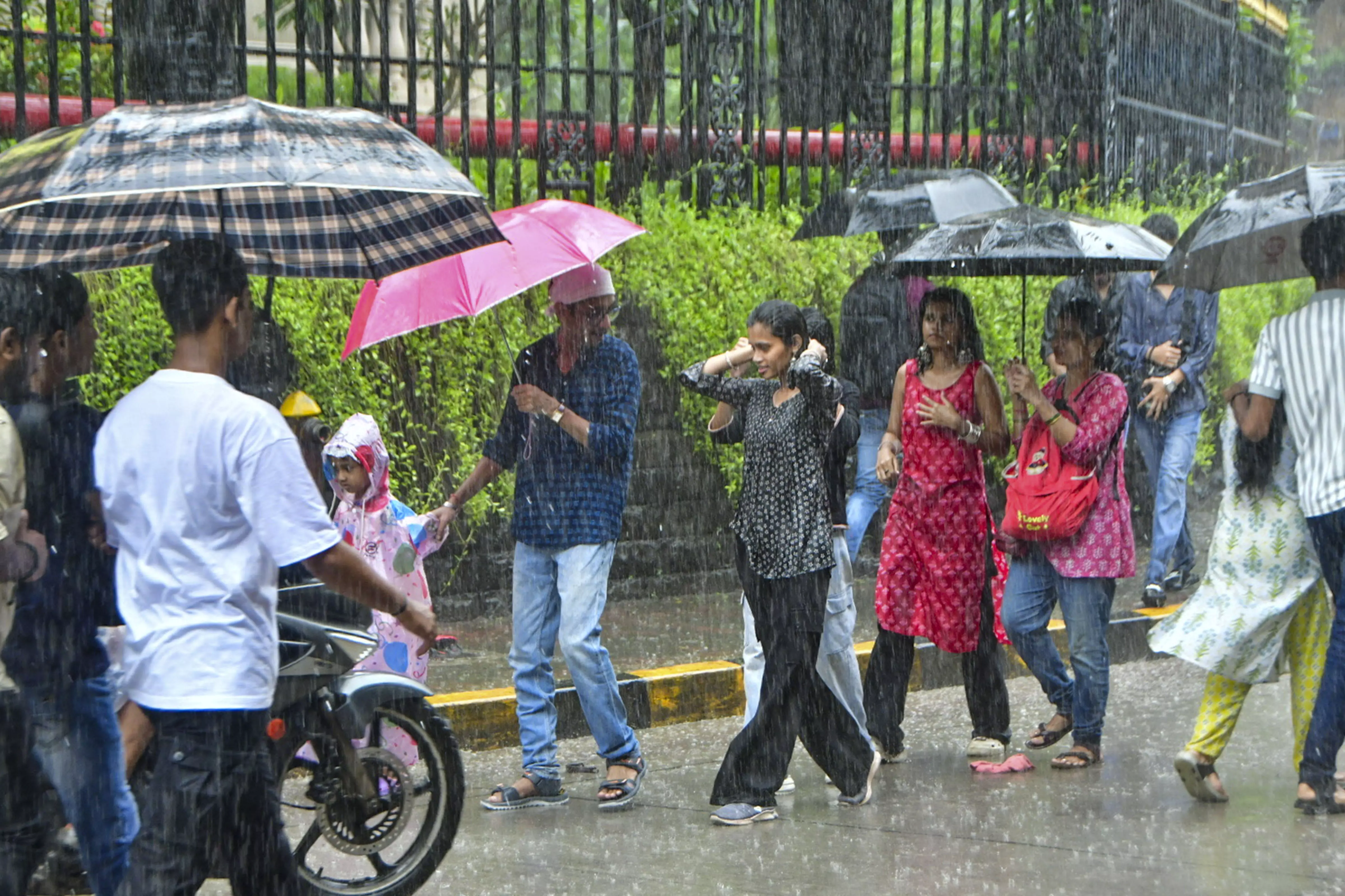 Moderate to Heavy Rains Forecast for Parts of Telangana