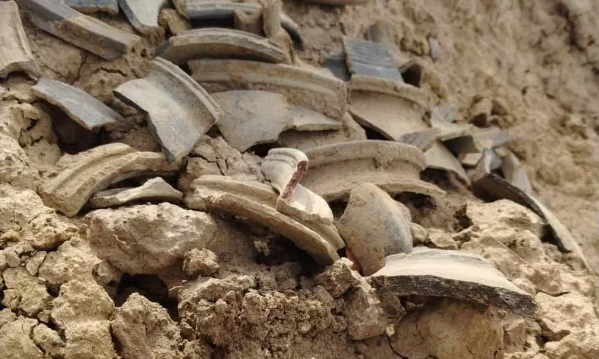 Students Unearth Ancient Relics Near Chittedu During Field Study