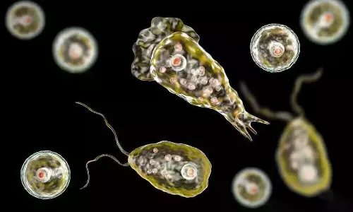 Amoeba Found in Well Water at Kerala Home of Girl Who Died of Encephalitis Amoeba Found in Well Water at Kerala Home of Girl Who Died of Encephalitis