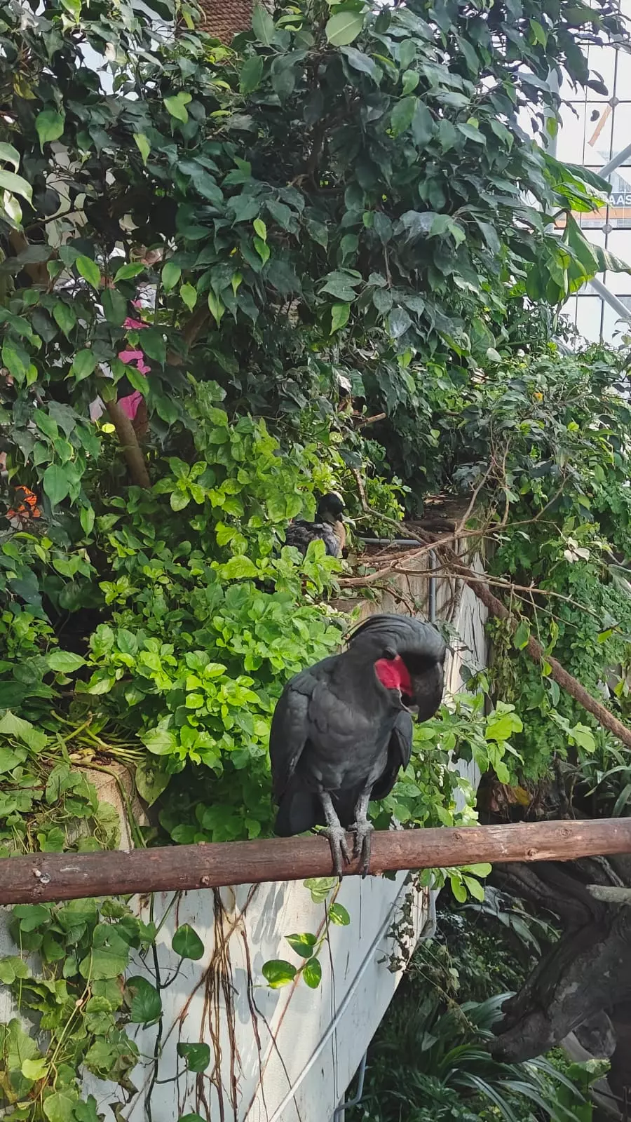 Dubai Transforms Summer Into An Air-Conditioned Wonderland Dubai Transforms Summer Into An Air-Conditioned Wonderland