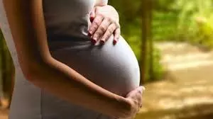 Police Focus On 3 Centres In Surrogacy Case