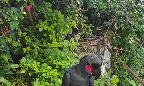 Dubai Transforms Summer Into An Air-Conditioned Wonderland