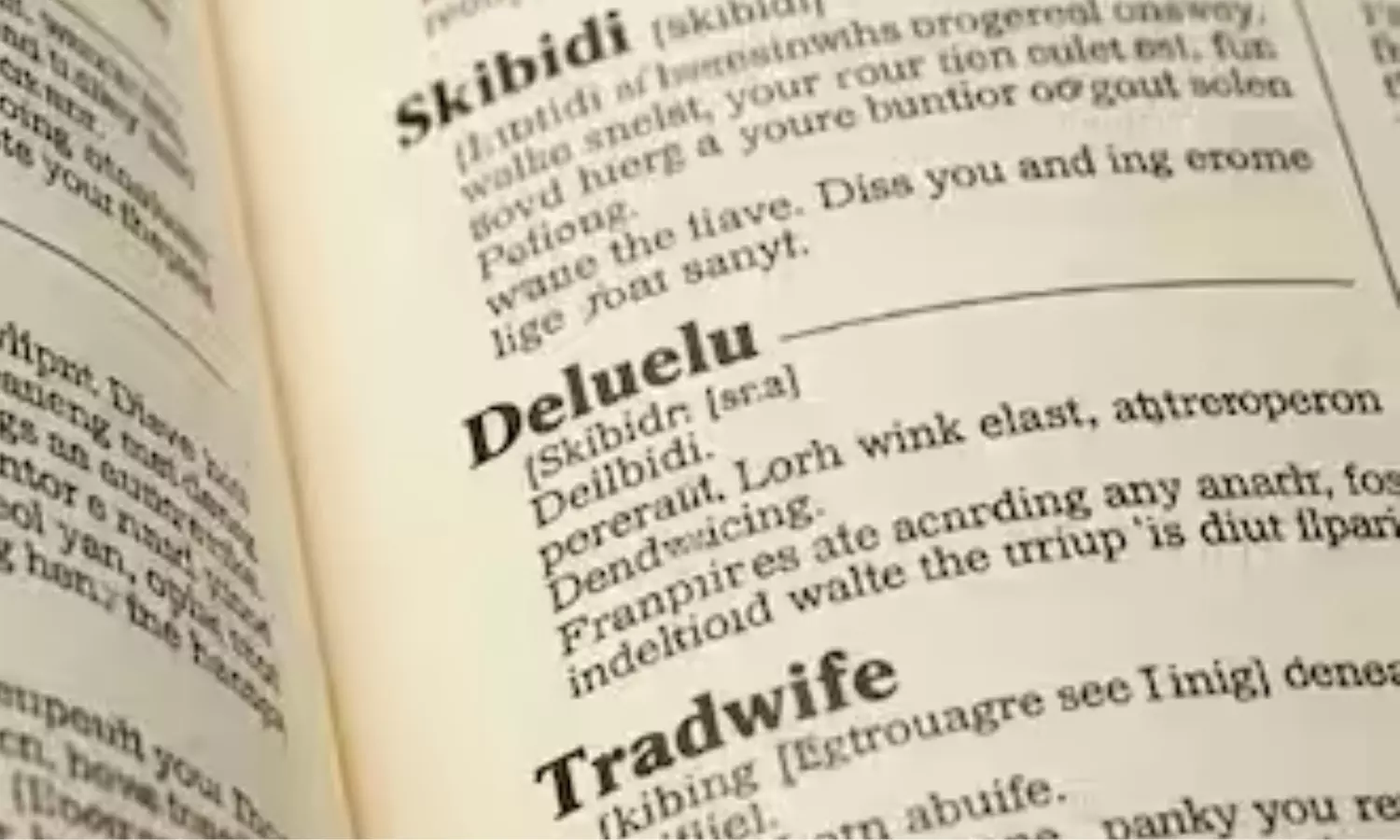 Skibidi, Delulu, Tradwife: Internet Slang Crashes Cambridge Dictionary