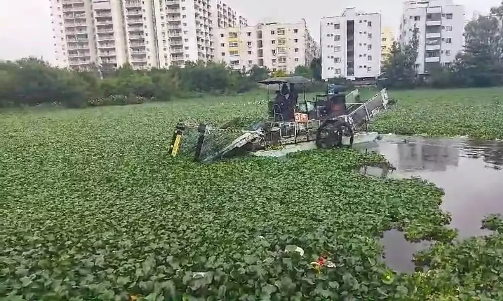 NGO Revives Kudikunta Lake With 8-Year Effort