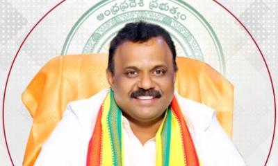 Error-Free Land Passbooks Ready for Andhra Pradesh Farmers