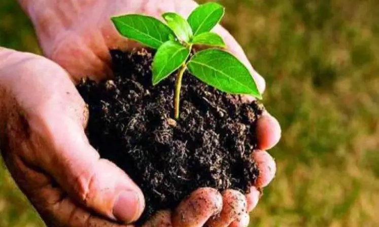 Adivasi Stage Unique Protest Over Abandoned Road Work Adivasi Stage Unique Protest Over Abandoned Road Work