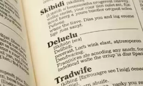 Skibidi, Delulu, Tradwife: Internet Slang Crashes Cambridge Dictionary