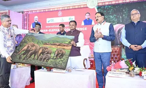 Odisha Hosts Global Workshop On Human-elephant Coexistence