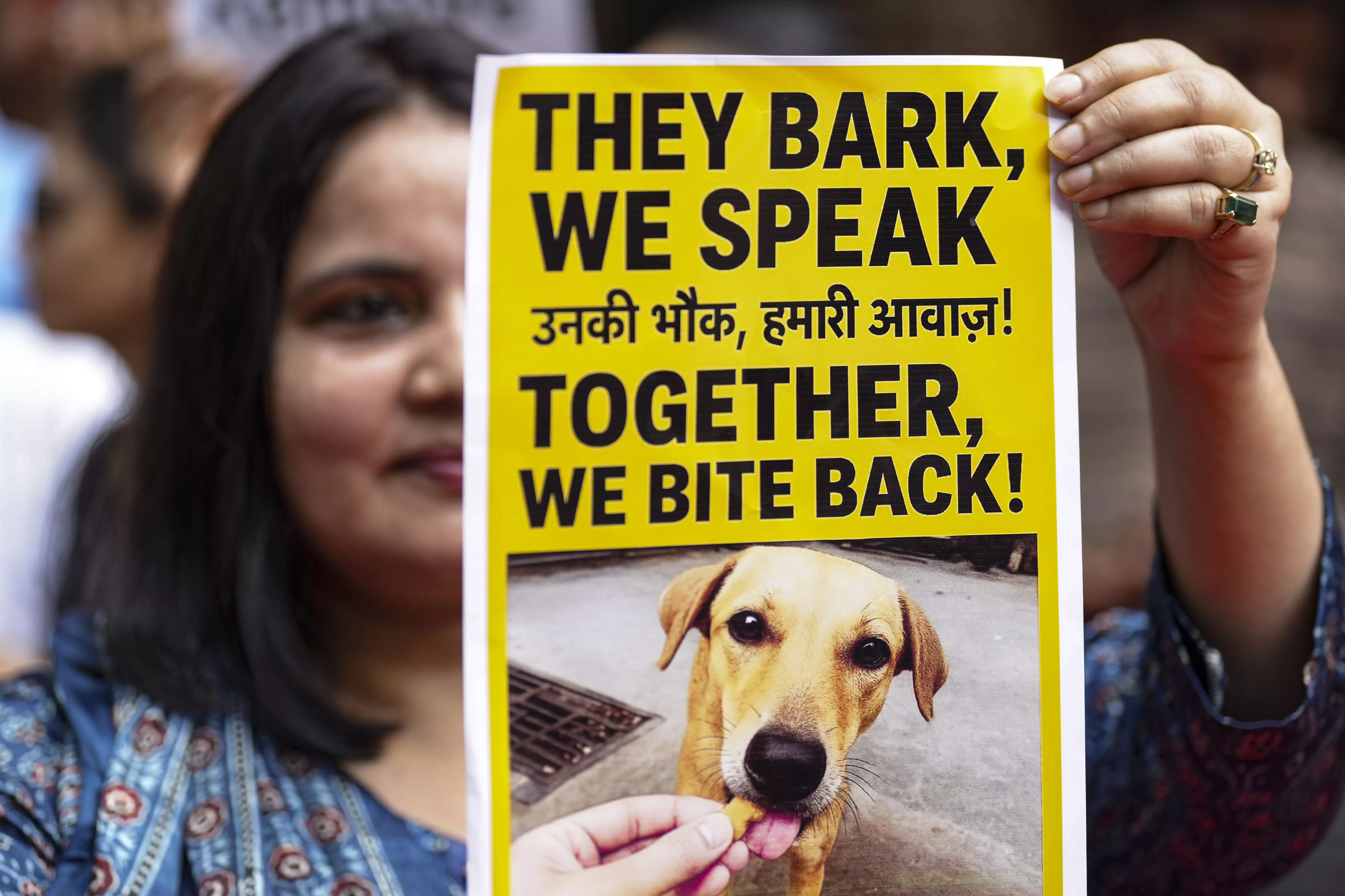 Animal Activists Gather at Jantar Mantar ahead of SC Verdict on Stray Dogs