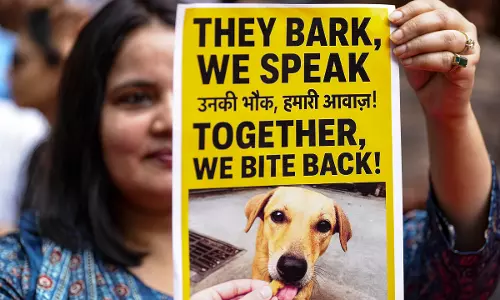 Animal Activists Gather at Jantar Mantar ahead of SC Verdict on Stray Dogs