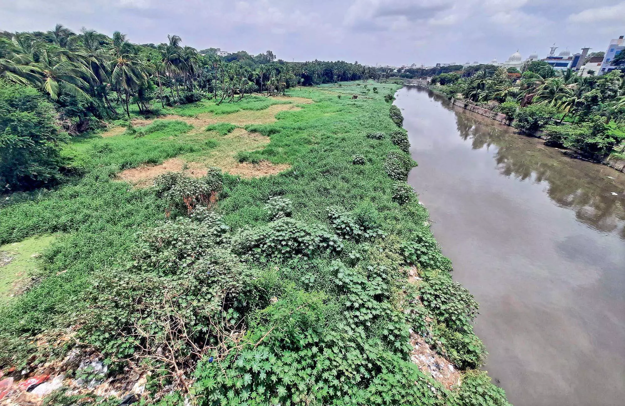 Telangana Govt Releases ₹375 Crore for Musi Riverfront Development Project