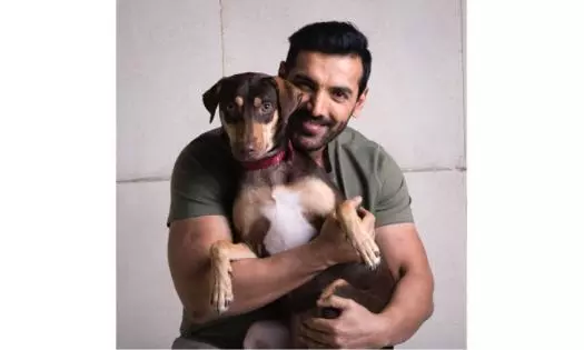 John and Vir Das Back SCs Call on Strays