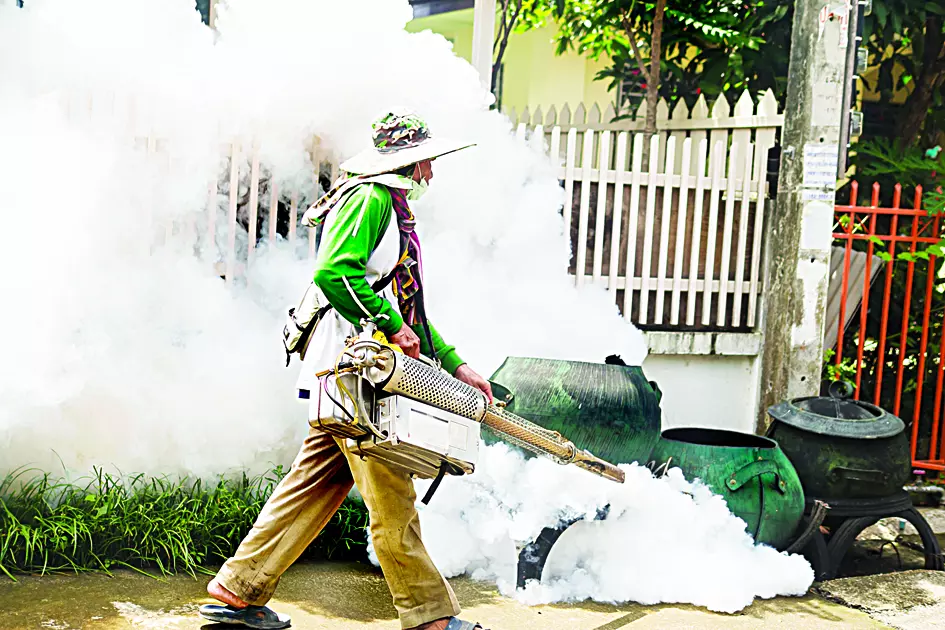 Buzzkill: Mosquitoes Power Our Ecosystem