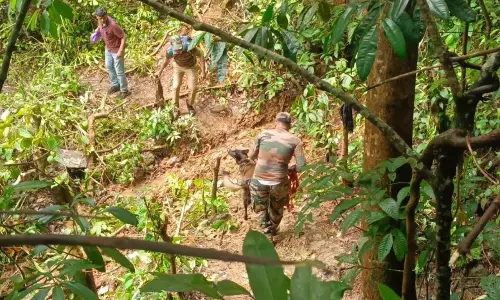 Dharmasthala Case: Whistleblower Arrested