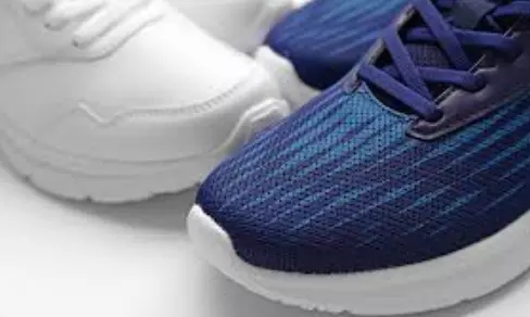 South Korea To Set Up First-Ever Rs 1,720 cr Footwear Plant in TN