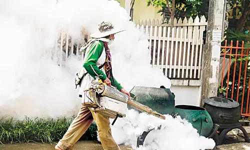 Buzzkill: Mosquitoes Power Our Ecosystem