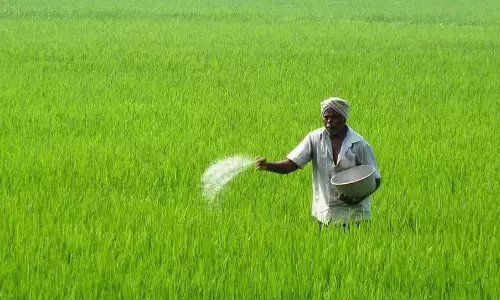 Telangana: Urea Distribution Begins in Villages Telangana: Urea Distribution Begins in Villages