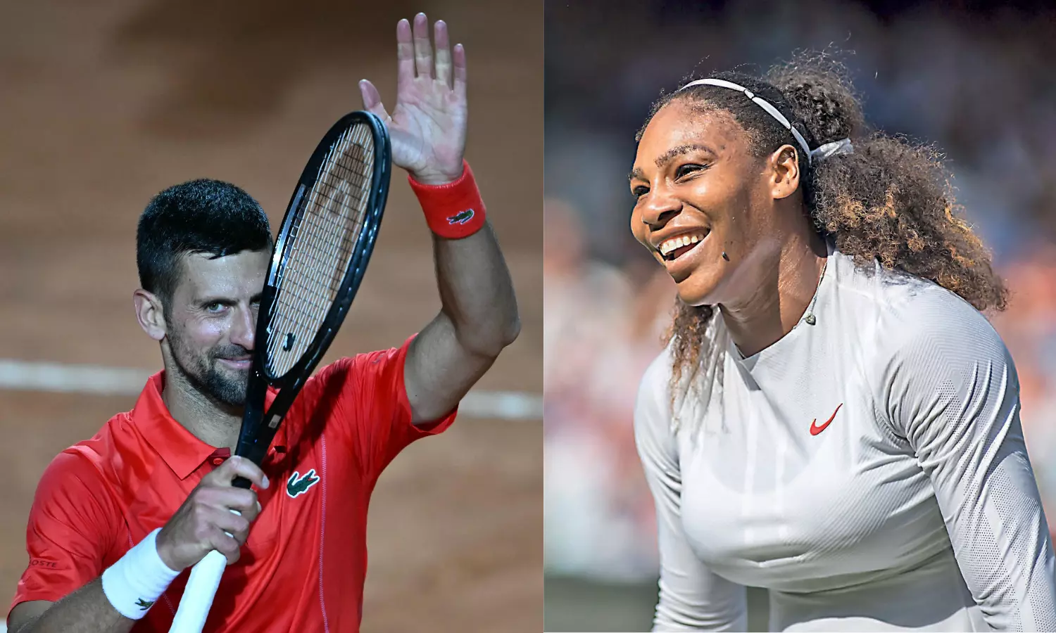I Challenge Serena to Come Back to Tennis, Djokovic Jokes I Challenge Serena to Come Back to Tennis, Djokovic Jokes
