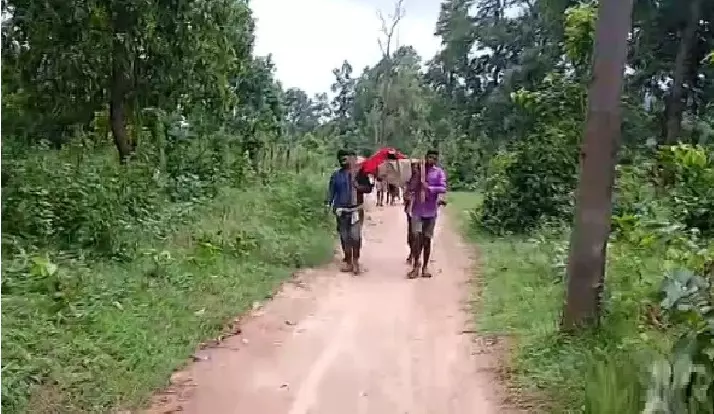 Odisha Families Forced To Carry Dead Bodies On Foot