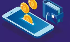 Cyber Cops Recover Rs 2.38 lakh from Chinese National’s Crypto Wallet