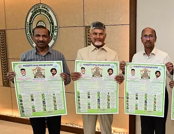 CM Chandrababu Naidu Urges Use of Idols Made From Natural Seeds And Clay CM Chandrababu Naidu Urges Use of Idols Made From Natural Seeds And Clay