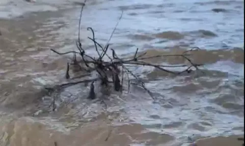 After Decades Of Wait, Krishna Waters Finally Reach Kuppam