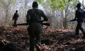 8 Maoist Cadres Surrendered Before Bhadradri Kothagudem Police