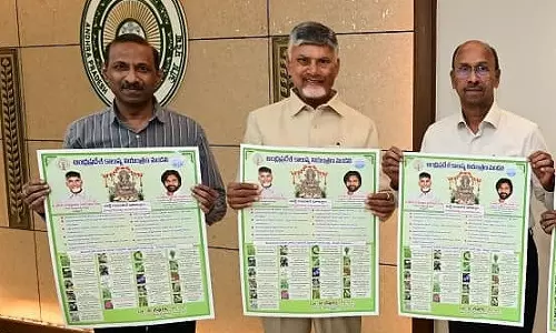 CM Chandrababu Naidu Urges Use of Idols Made From Natural Seeds And Clay