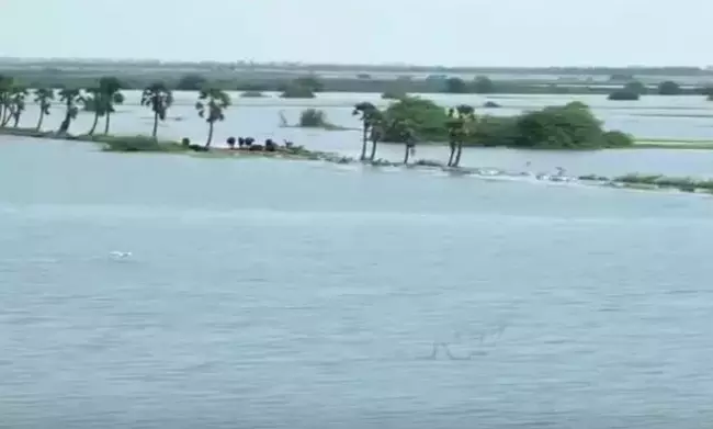 Alert Sounded As Tammileru, Gonelavagu Get Heavy Inflows Alert Sounded As Tammileru, Gonelavagu Get Heavy Inflows