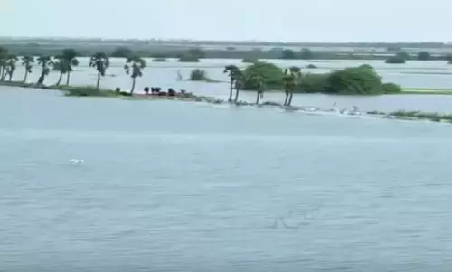 Alert Sounded As Tammileru, Gonelavagu Get Heavy Inflows Alert Sounded As Tammileru, Gonelavagu Get Heavy Inflows