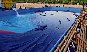 GHMC Sets Up 74 Artificial Ponds For Ganesh idol Immersion GHMC Sets Up 74 Artificial Ponds For Ganesh idol Immersion