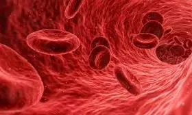 AP Tops Anaemia Prevention Drive In First Quarter Of 2025–26