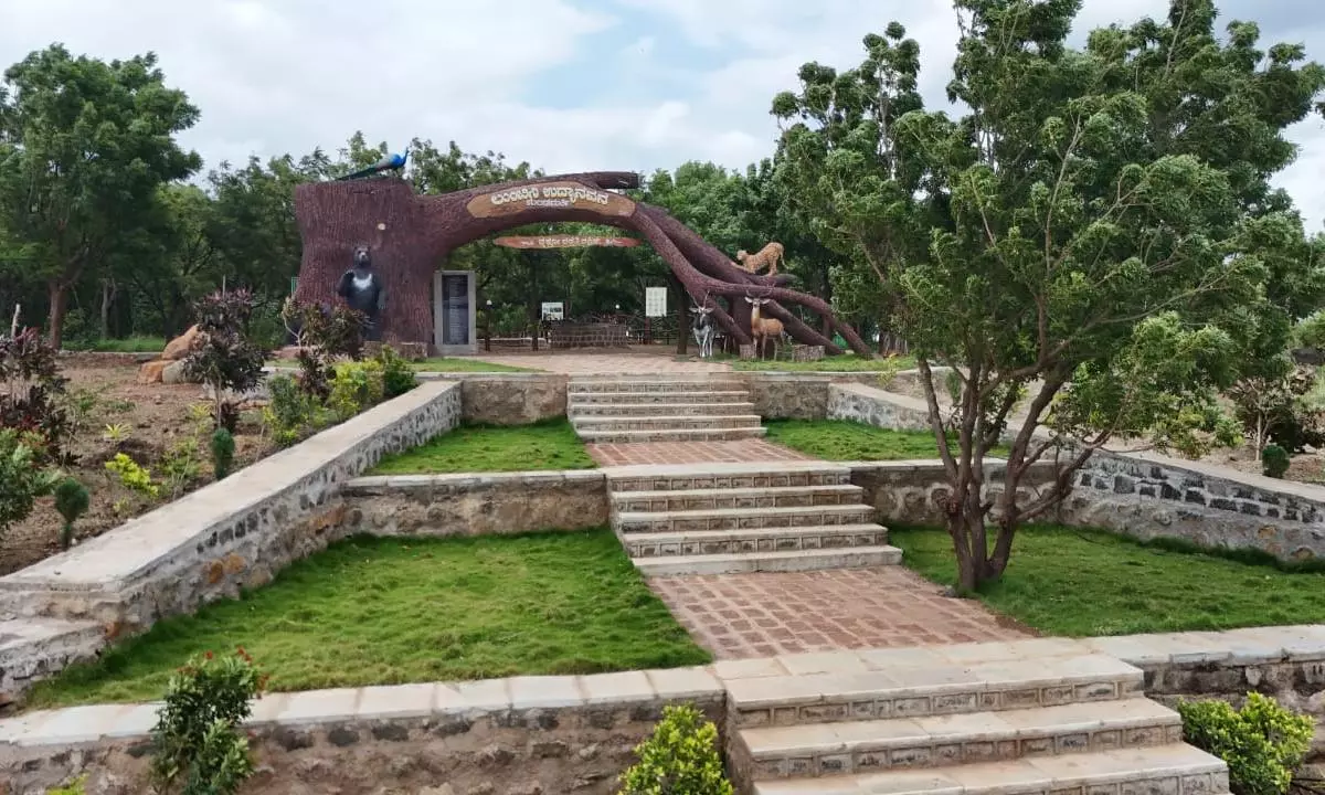 Lumbini Garden: Kalaburagi’s New Green Attraction for Families, Nature Lovers